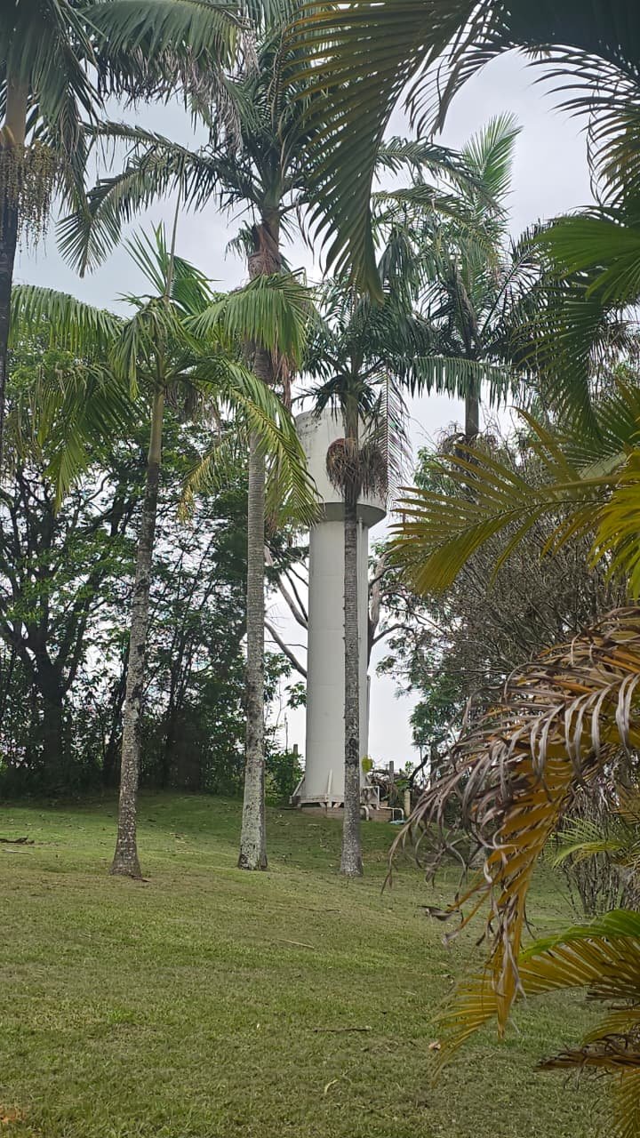 CHÁCARA À VENDA - Foto 1