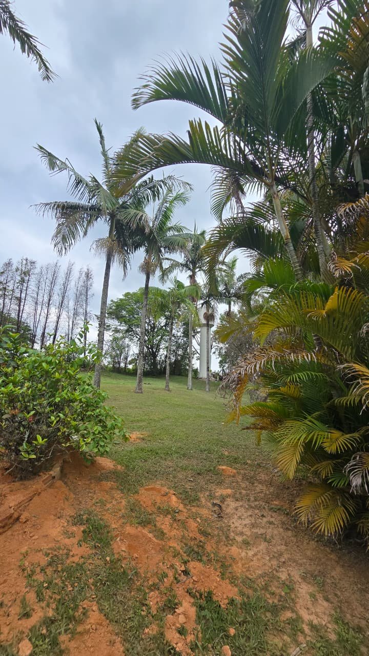 CHÁCARA À VENDA - Foto 3