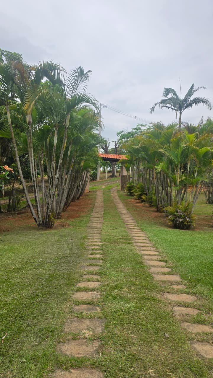 CHÁCARA À VENDA - Foto 5